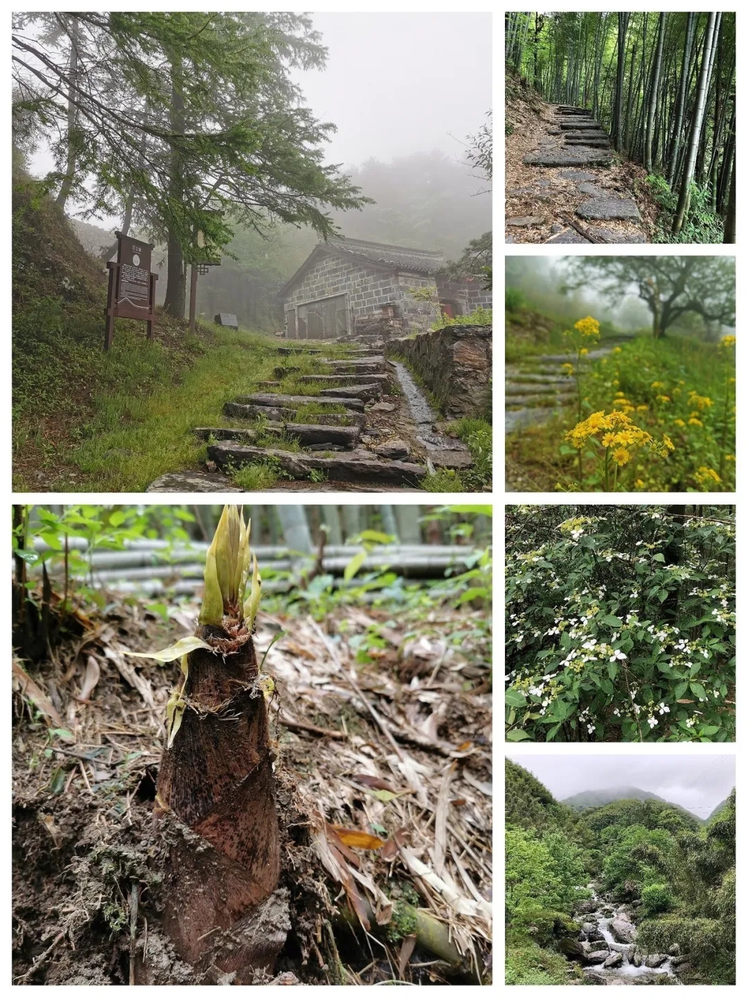 20200525171830839843.jpg 6.webp.jpg